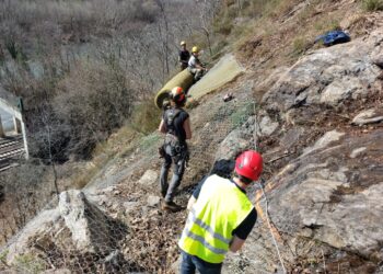 Il personale in azione