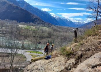 SP 54 del lago di Mergozzo, KM 8+160, Località Albo del Comune di (VB) intervento di consolidamento del versante e di difesa della viabilità da fenomeni di distacco e caduta massi